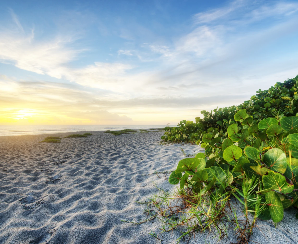 highlight-14_highlight-14_image